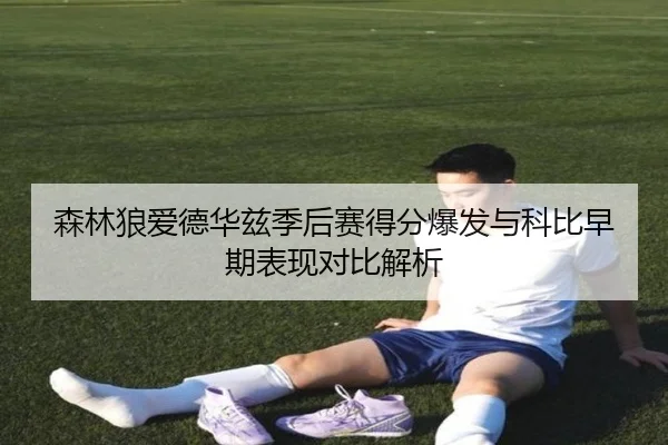 森林狼爱德华兹季后赛得分爆发与科比早期表现对比解析