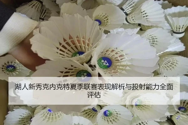 湖人新秀克内克特夏季联赛表现解析与投射能力全面评估